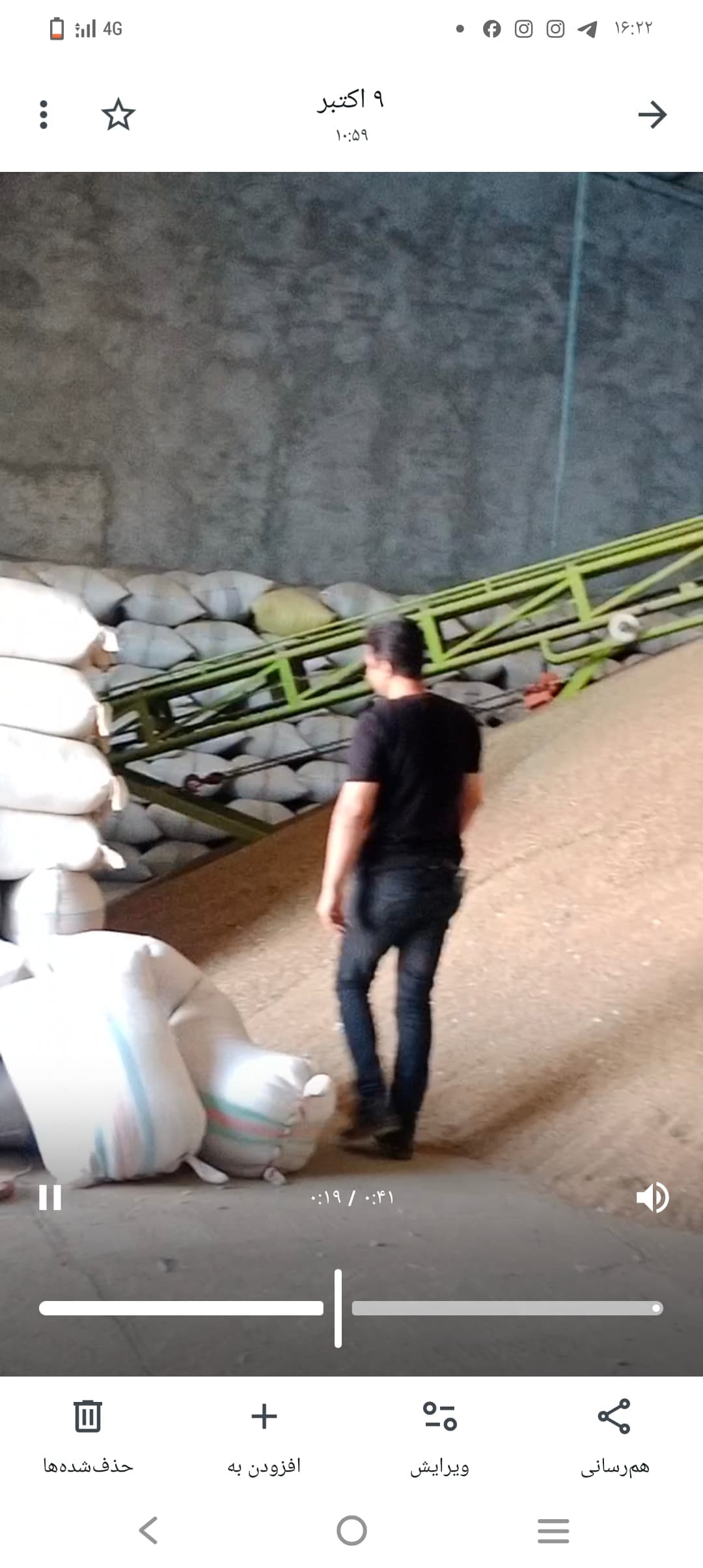 خرید لذرگشنیز دارویی ایران جهت صادرات با کیفیت مخصوص